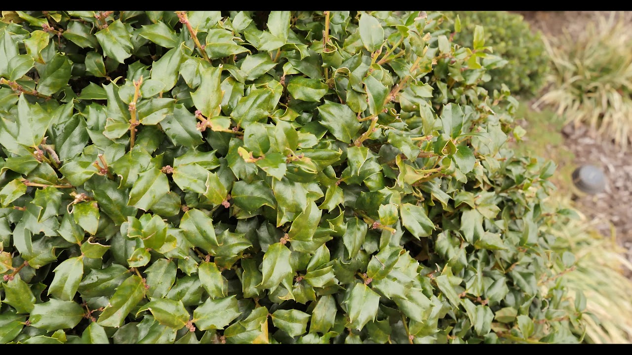 GH5 Internal 10 bit 422 4k fun!