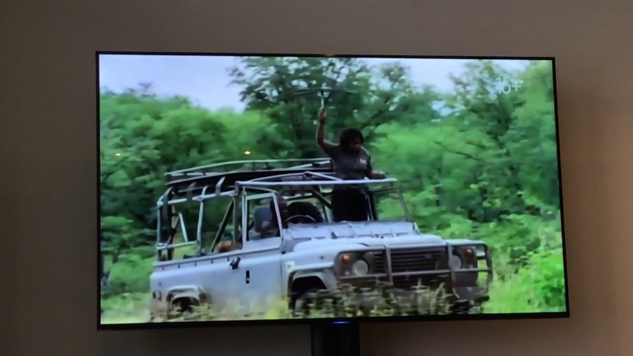 Nat Geo Wild save Big Cats