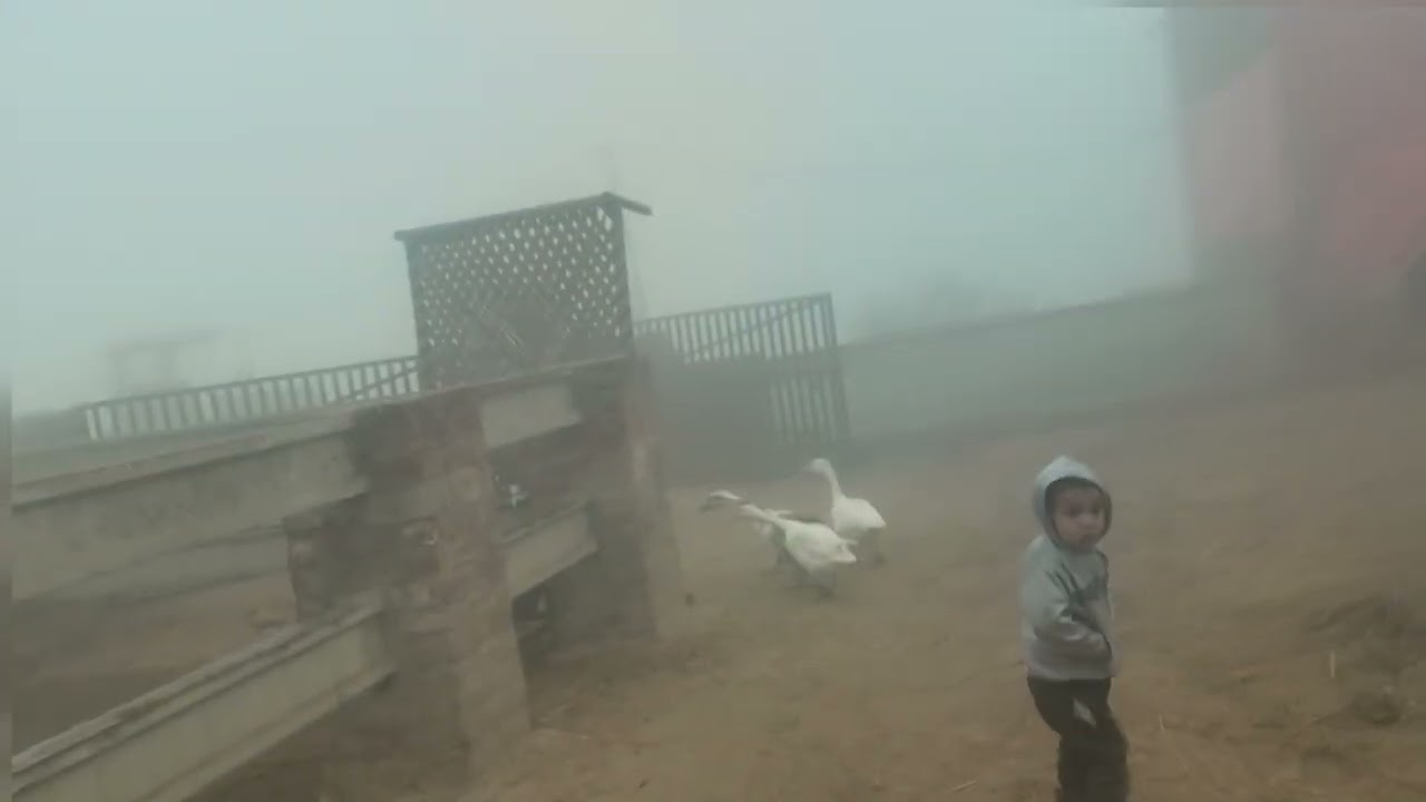🏫School open in village 😯|| Winter fog in Pakistan 