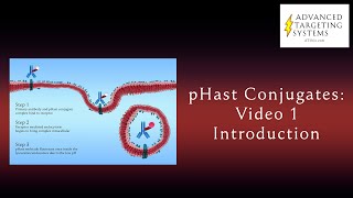 Phast Conjugates Intro