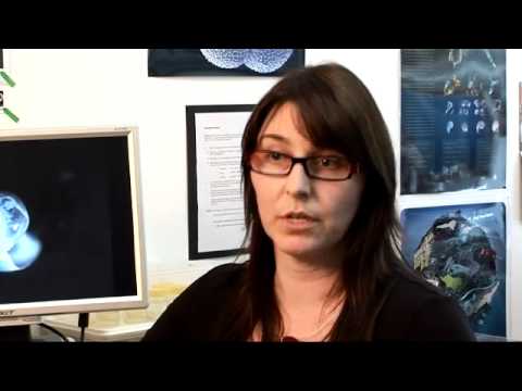 Dr Donna Roberts (ACE CRC) - the importance of stu...