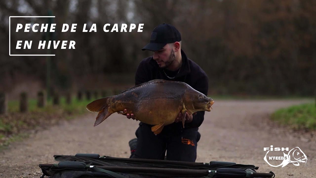 Pêche de la Carpe en HIVER / 24H PLUTOT MOUVEMENTE !!!