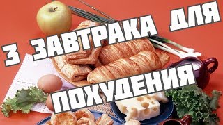 Что приготовить на завтрак быстро и вкусно. Завтраки для похудения 3 рецепта Что приготовить на завтрак быстро и вкусно. Завтраки для похудения 3 рецепта