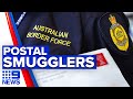 Number of illegal items found in mail doubled | 9 News Australia