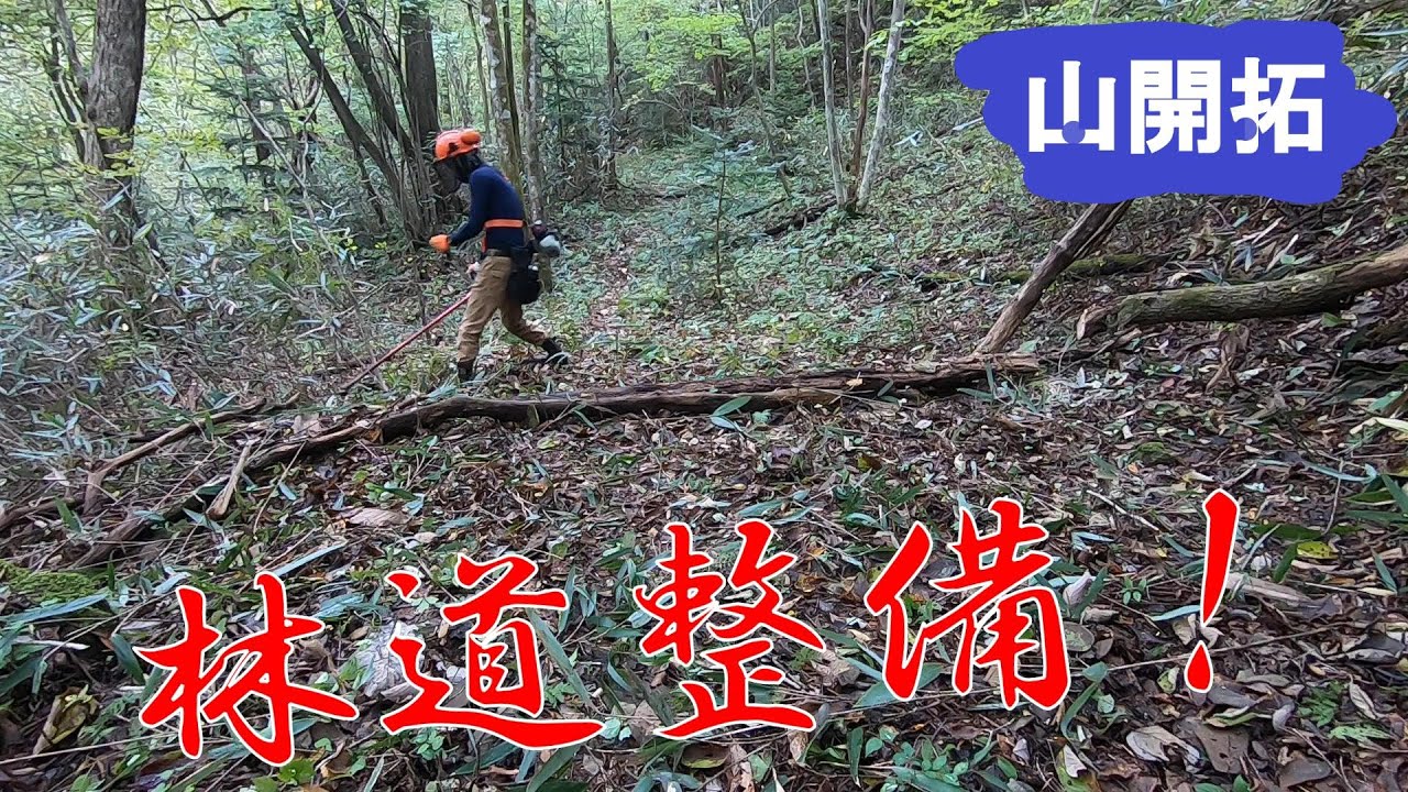 【山開拓】秋の恒例行事！林道刈り！