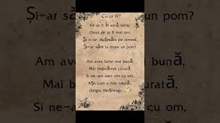 Ce ar fi? #poezii #versuri #poem #poetry