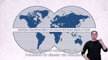 Sendai Framework Priority 2 (Sign language and audio description​)