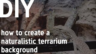 How To Build A Naturalistic Terrarium Background