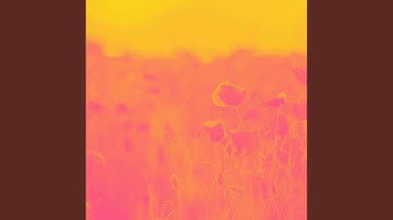 Background for Alternative Curiosity