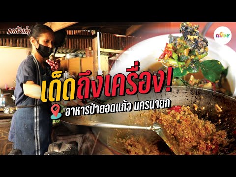 อาหารป่ายอดแก้ว ของดีนครนายก เด็ดถึงเครื่อง! เรื่องอาหารป่า | แกล้มเล่า | alive