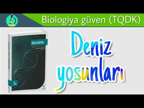 Biologiya dersi 32. Deniz yosunları (laminaria)