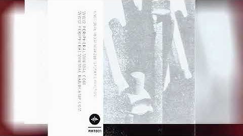 M.NOMIZED / UNOVIDUAL "SAUNETIC FRACTION" Album Teaser