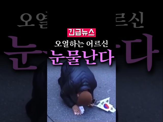 (속보) 땅바닥에 주저앉아 오열하는 어르신, 손에는 태극기가...