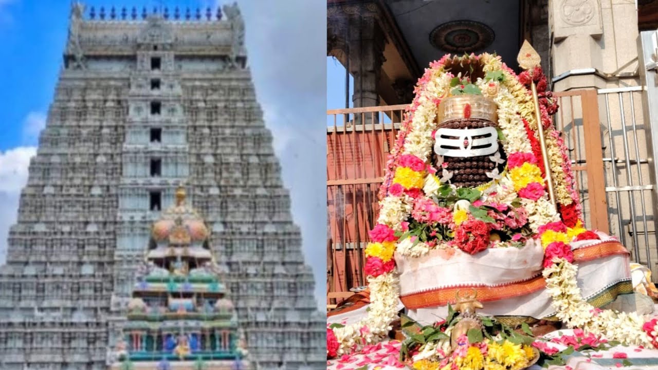 7 - ஆவது திருவண்ணாமலை திருவீதி உலா / அண்ணாமலையார் திருபாதம் உழவார பணிக்குழு