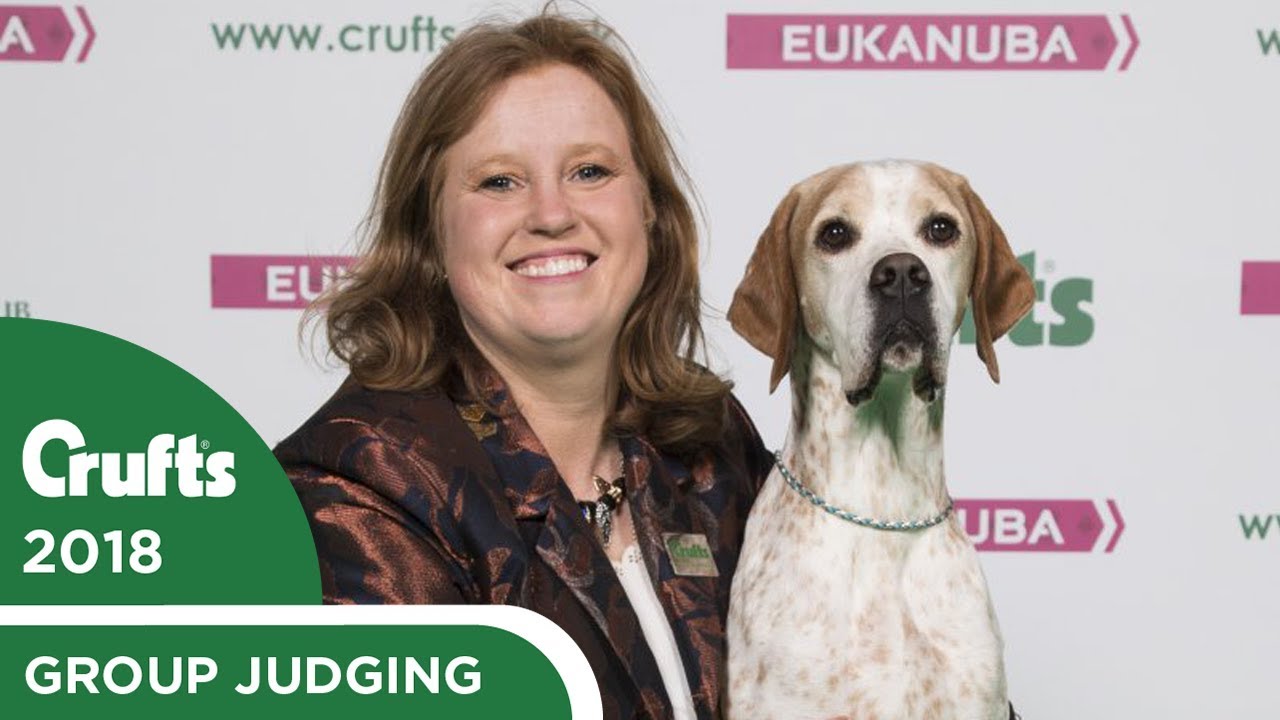 gun dogs crufts 2019