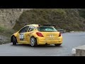 Show and passion Tribute peugeot 207 s2000 Evo II The best of