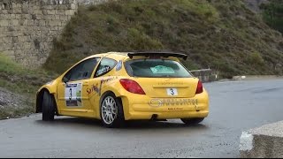 Show and passion Tribute peugeot 207 s2000 Evo II The best of