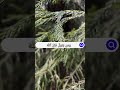 سورة الممتحنه آيه 6
