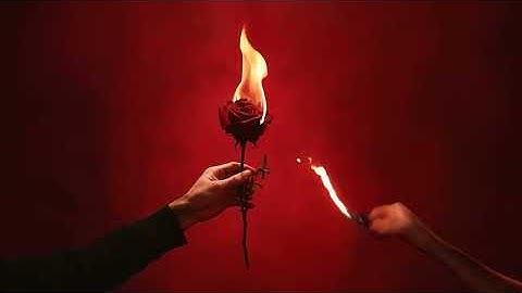 HAITHAM  - B2ALY KTEER | هيثم - بقالي كتير (prod by. Ram )