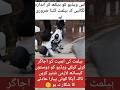 Why helmet is necessary #bike #viralvideo #kindness #love #duet #inspiration #fyp #trending #foryou