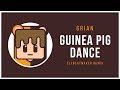 Grian  guinea pig dance ft xisuma elybeatmaker remix