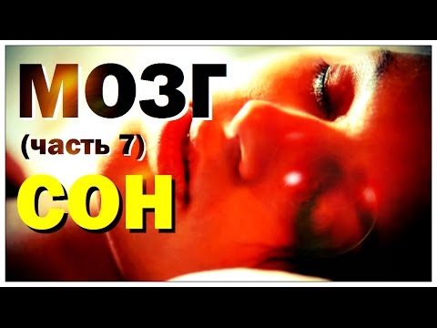 Галилео. Мозг (часть 7): Сон