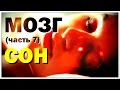 Галилео. Мозг (часть 7): Сон