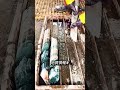 地下から採れた石の本当の価値