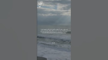Surah Al-Fath | Ayah 29 | سورة الفتح