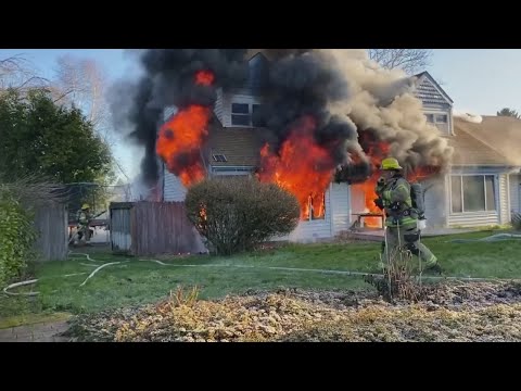 Five pets killed in Vancouver house fire, cause under investigation