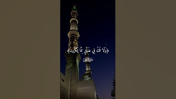 واصبر وما صبرك إلا بالله ولا تحزن عليهم ولا تك في ضيق | الآية 127 سورة النحل#qura #surah #surahnahal