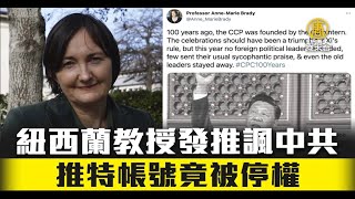 紐西蘭教授發推諷中共 推特帳號竟被停權