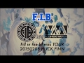 Fib fill in the blanks tour20150208 at huck finn