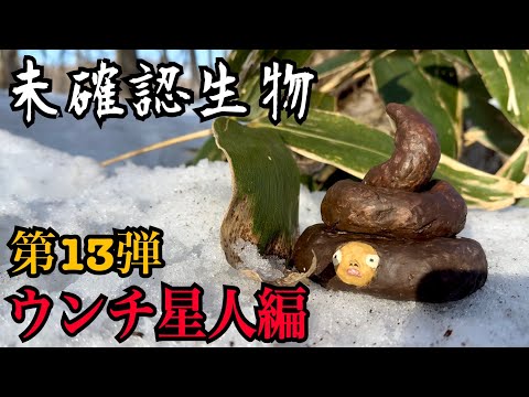 【未確認生物】ウンチ星人見つけるまで帰れま10！！！