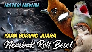Download Lagu Masteran MEWAH Cililin vs Kapas Tembak vs Gereja Tarung Jeda Gemericik Air Mengalir Untuk Murai Batu MP3