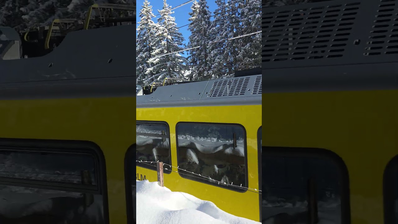 Grütschalp MÜRREN Allmendhubel Hiking Wanderung 