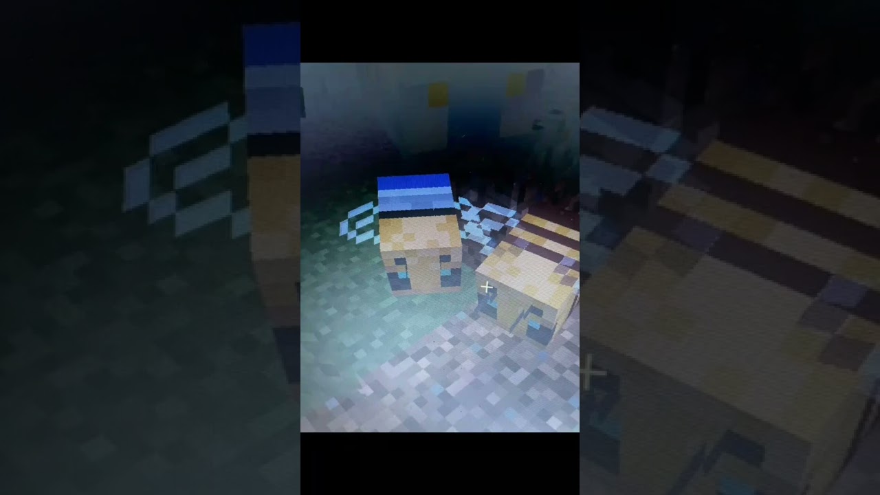 LGBTQ+ textures on bees? Is this my Bumblezone mod or is this an event in Minecraft