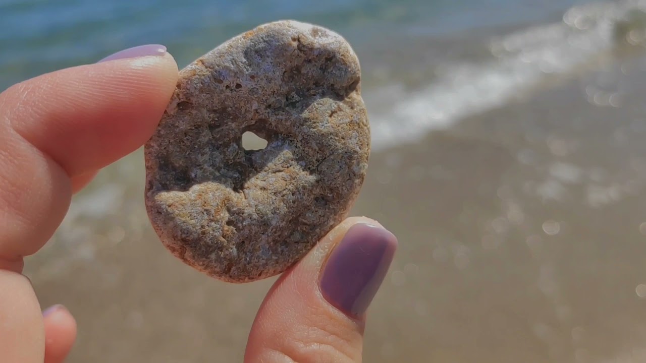 Beachcombing on April 10/2021