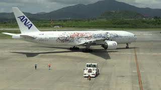 THE SIGHT OF JAPAN 1/2 : Flight onboard ANA B 777-281ER JA745A from Tokyo (HND) to Ishigaki (ISG)