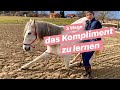 3 Wege das Kompliment zu lernen/ ~ Lea Jell ~