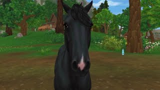 (SSO) my new Gen 3 mustang horse