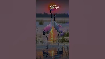 القرآن الكريم تلاوة رائعة تلامس القلوب #القرآن_الكريم #تلاوة_هادئة #سبحان_الله #راحة_نفسية #اكسبلور