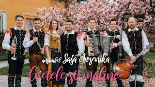 Ansambel Saša Avsenika - CVETELE SO MALINE (Official Video)