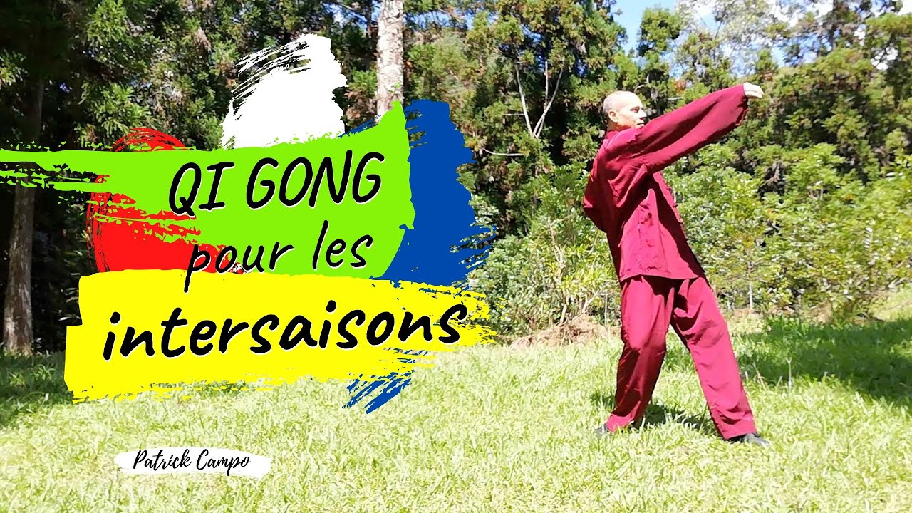 Qi Gong pour les Intersaisons   lment TERRE    Renforce la Rate le Pancras lEstomac