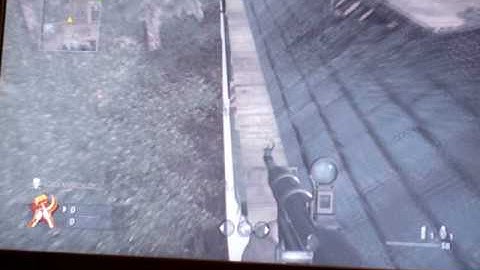 cod 5 asylum glitch