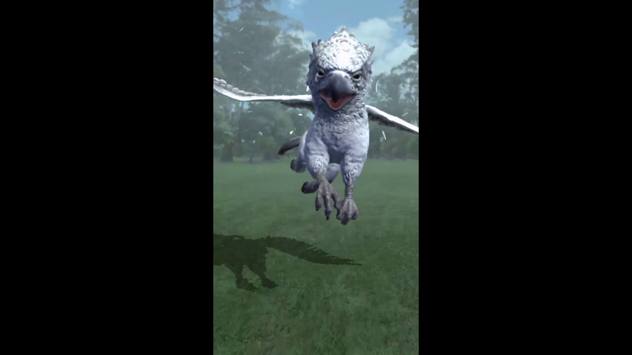 Harry Potter: Wizards Unite | Gameplay | It's Finally Here!