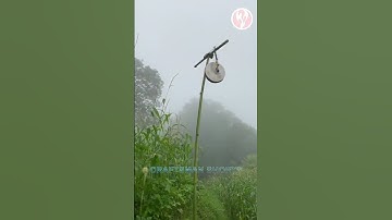 Drums | Automatic bird repellent drums