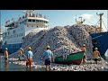 fishing for salmon with large nets - 100,000 salmon trapped under ice in giant nets