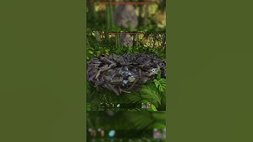 How To Tame The Gigantoraptor! (Easy)  #arkshorts #gigantoraptor #arksurvivalascended