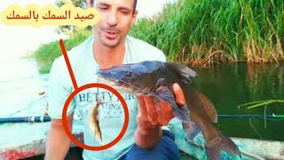 صيد السمك بالطعم الحي روعه ومتعه بجد من نهر النيل 😱😱